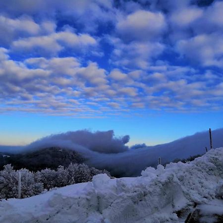 Chalet En Couleurs Xonrupt-Longemer Dış mekan fotoğraf