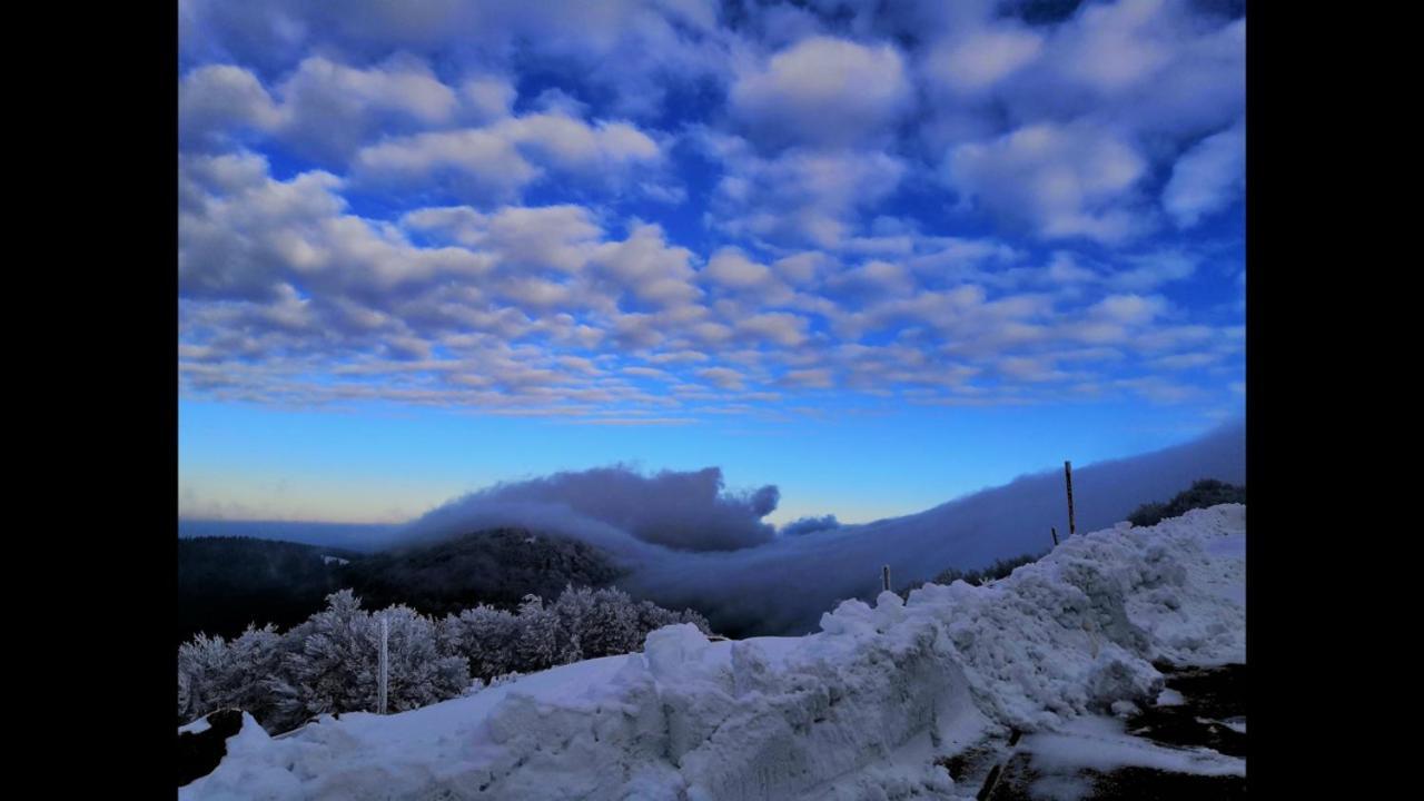 Chalet En Couleurs Xonrupt-Longemer Dış mekan fotoğraf
